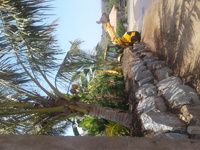 Ent.Thierry Travant Sarl - Transports - Terrassement / Minage - Fournisseurs - iBat.nc