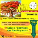 KILL NUISIBLES.NC - Désinsectisation - Nettoyage - iBat.nc