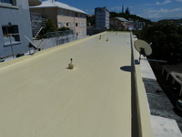 Sat Batiment - Etanchéité - Peintre (autre) - Rénovation - iBat.nc
