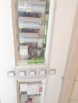 TPJ - Électricité Générale  - Maçonnerie - Revêtement Sols / Murs - iBat.nc