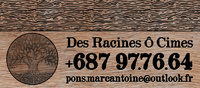 Des Racines ô Cimes - Élagage / travaux en hauteur  - Espace vert/Paysagiste - iBat.nc