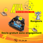 KILL NUISIBLES.NC - Désinsectisation - Nettoyage - iBat.nc